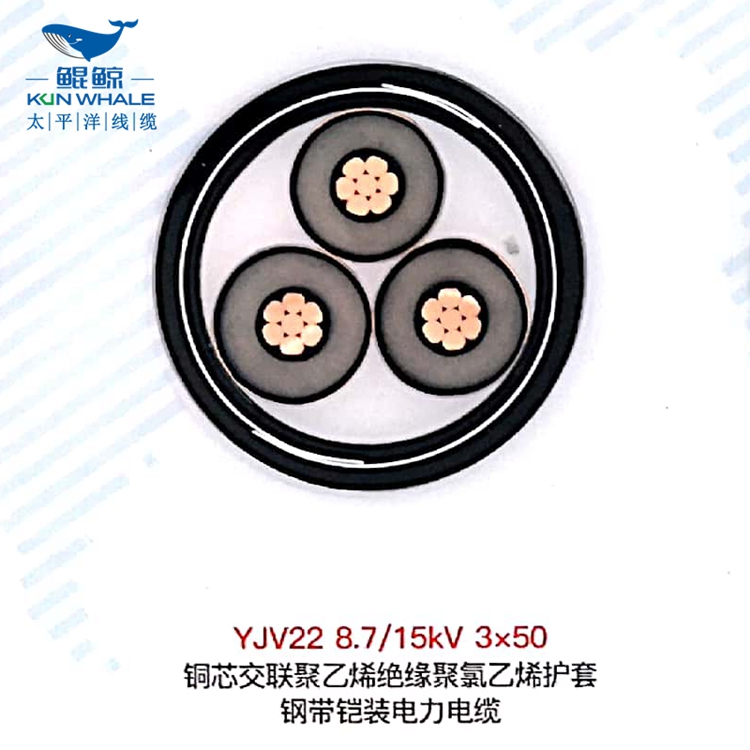 鄭州電纜廠(chǎng)高低壓電纜廠(chǎng)商淺談鎧裝電纜有哪些特點(diǎn)？鎧裝電纜型號(hào)
